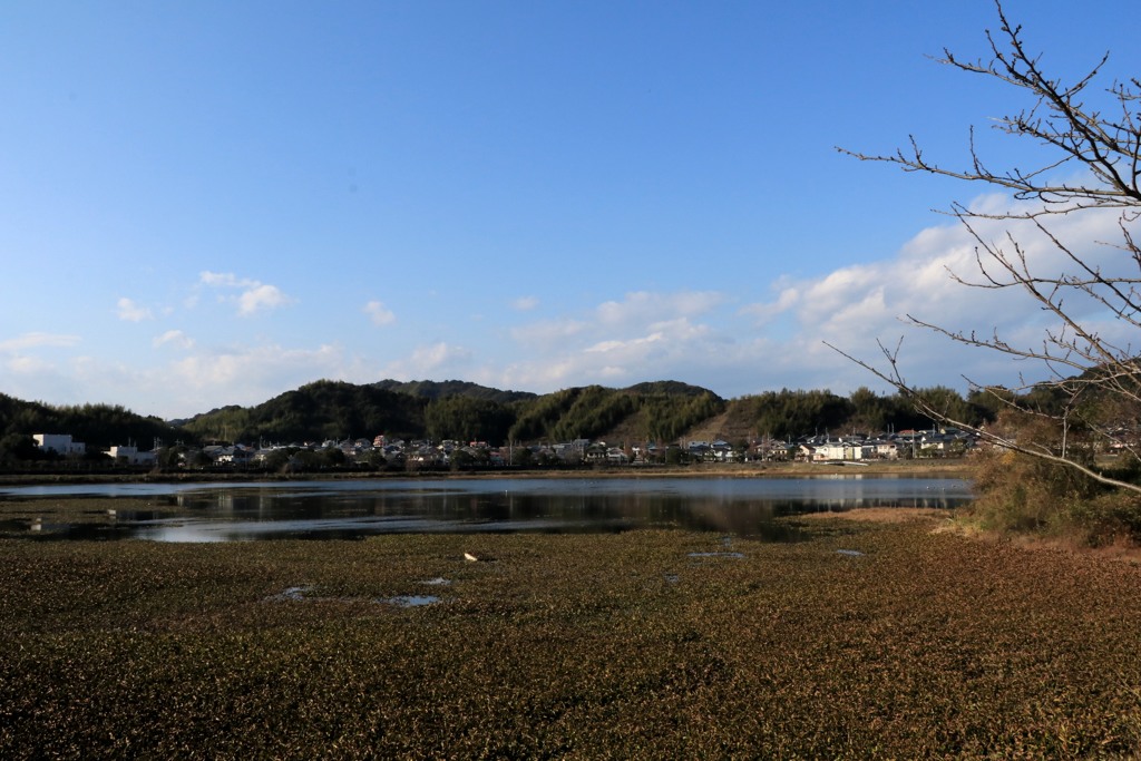 散歩中の