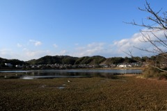散歩中の