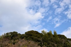 散歩中の　雲と鳥