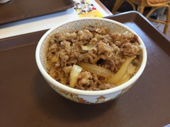 昼食　牛丼