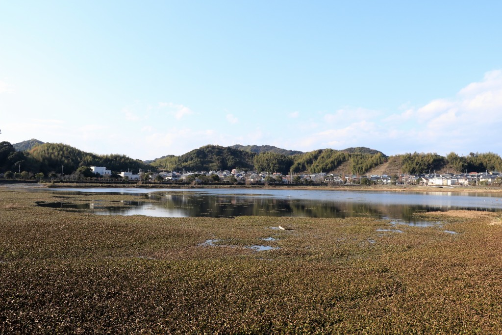散歩中の