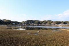 散歩中の