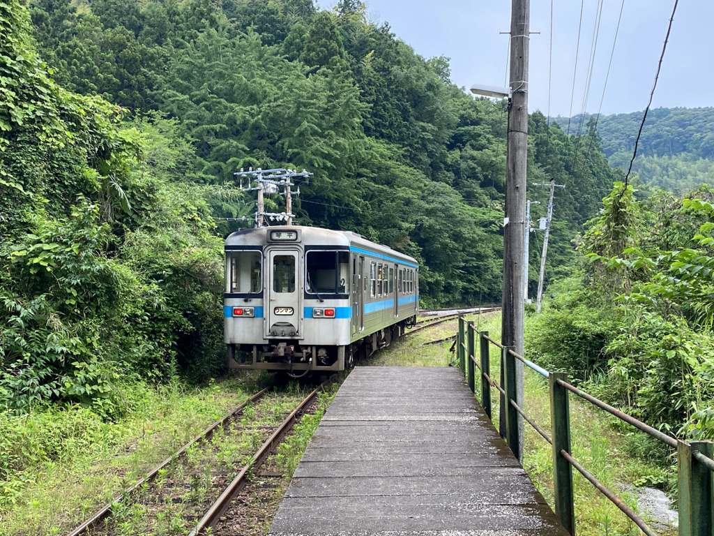 新改-6