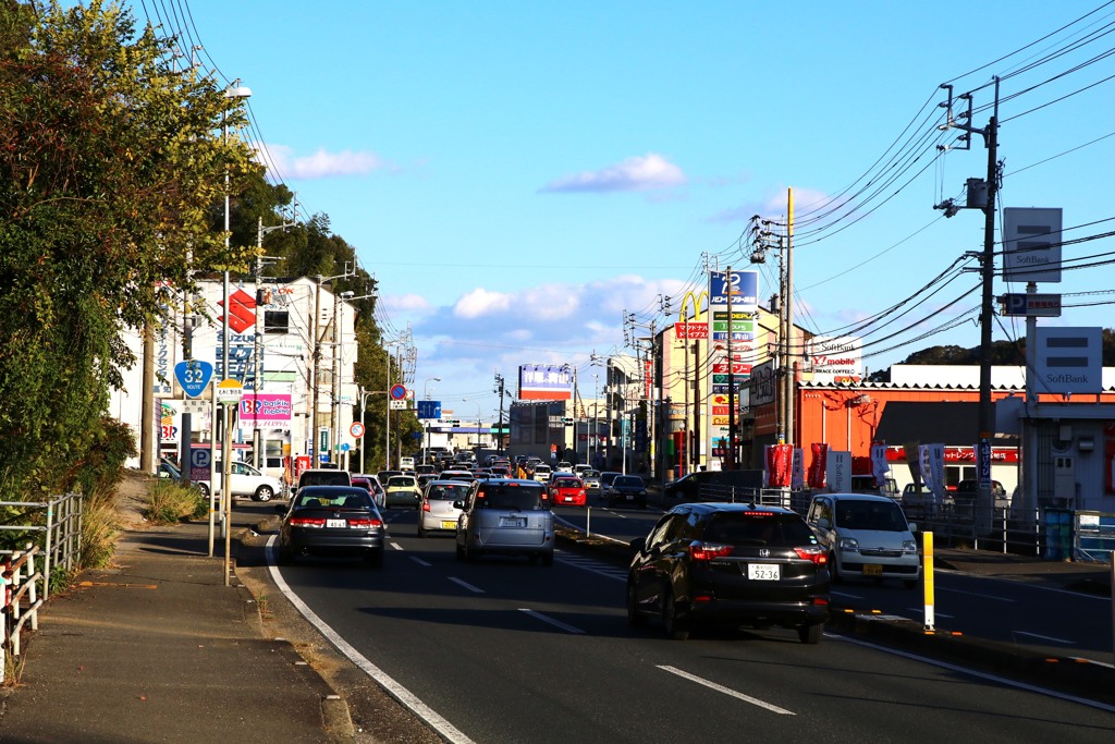 散歩中の　渋滞