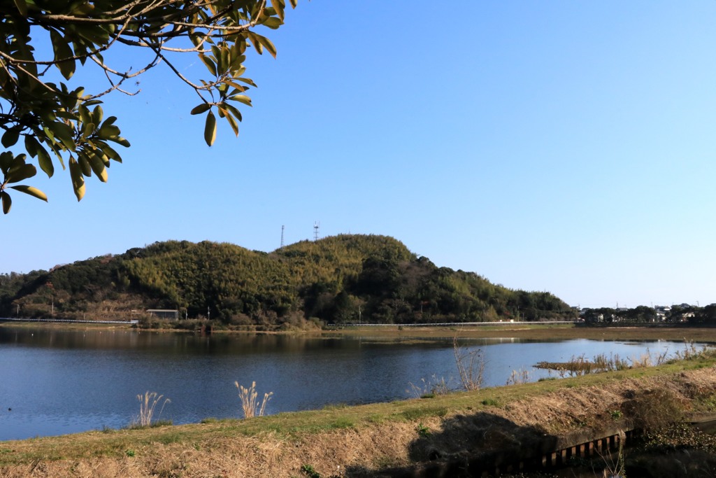 散歩中