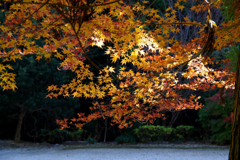 大日寺