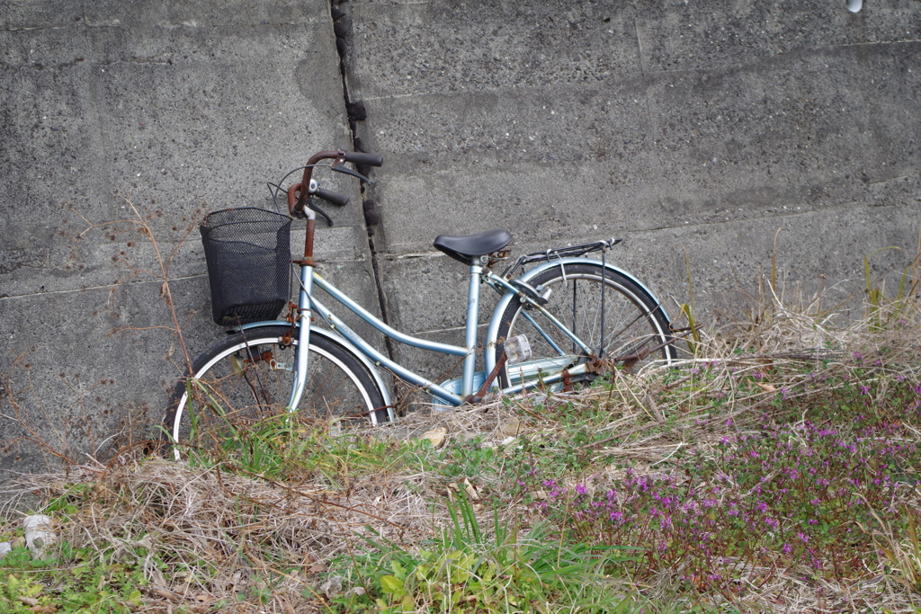 散歩中の　放置自転車