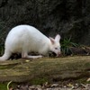 のいち動物公園