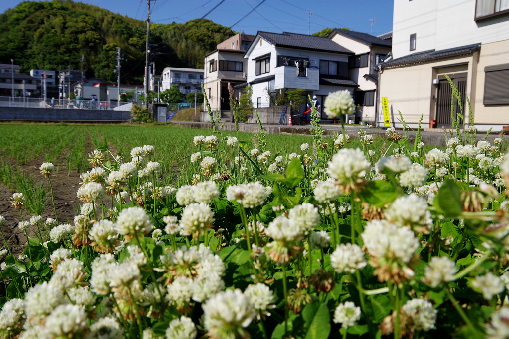 現場