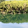 吉野川