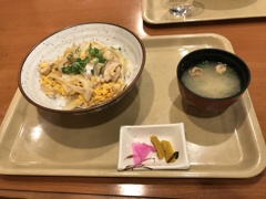 昼食　親子丼（長岡温泉）