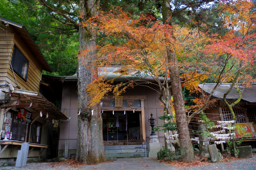 朝峯神社