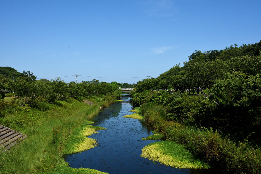県立池公園