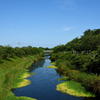 県立池公園