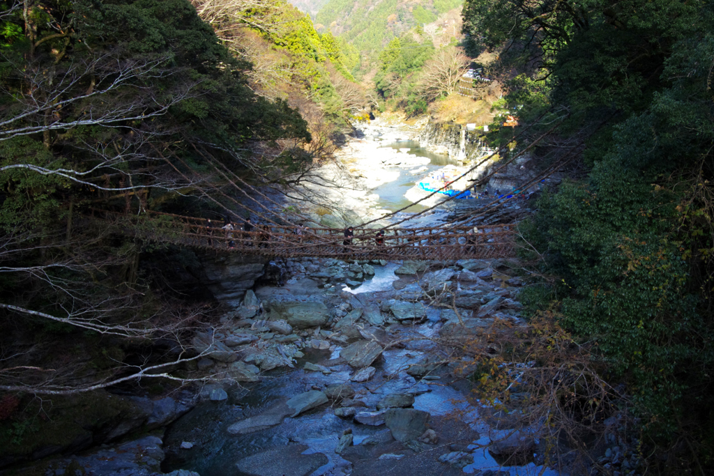 祖谷　かずら橋
