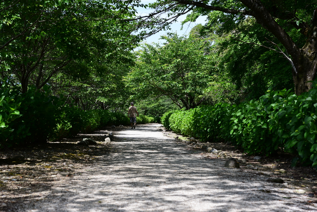 遊歩道