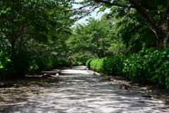 遊歩道
