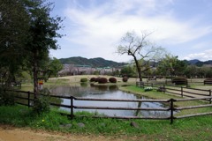 鏡野公園