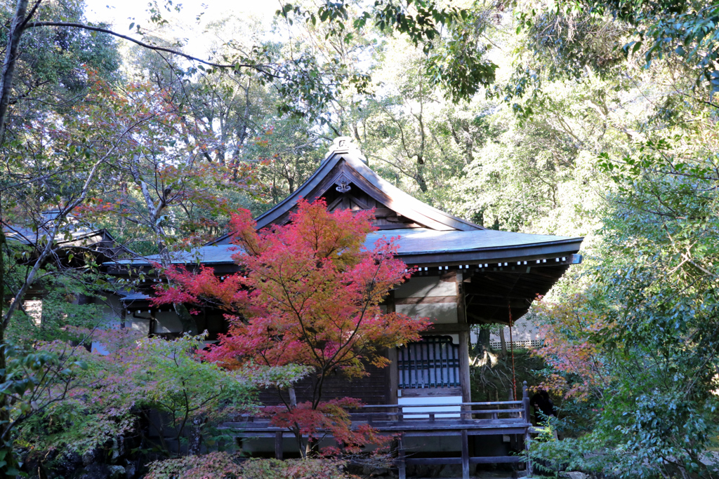 竹林寺