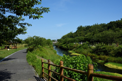 県立池公園