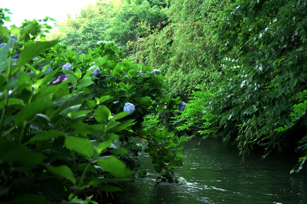 水路