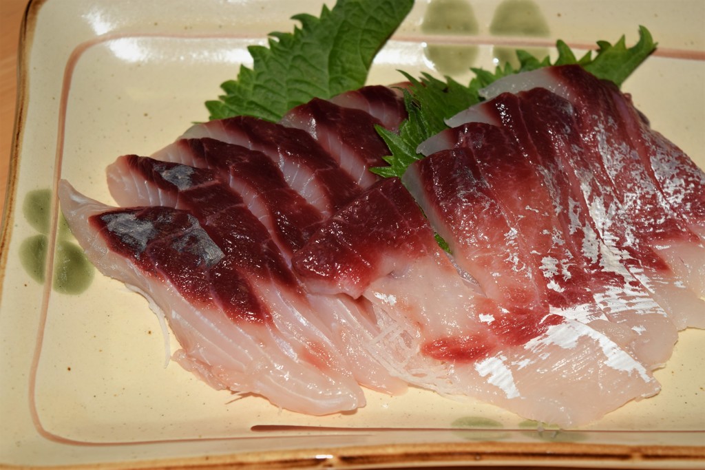 肴　ボラの刺身