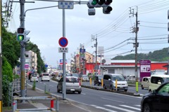 散歩中の