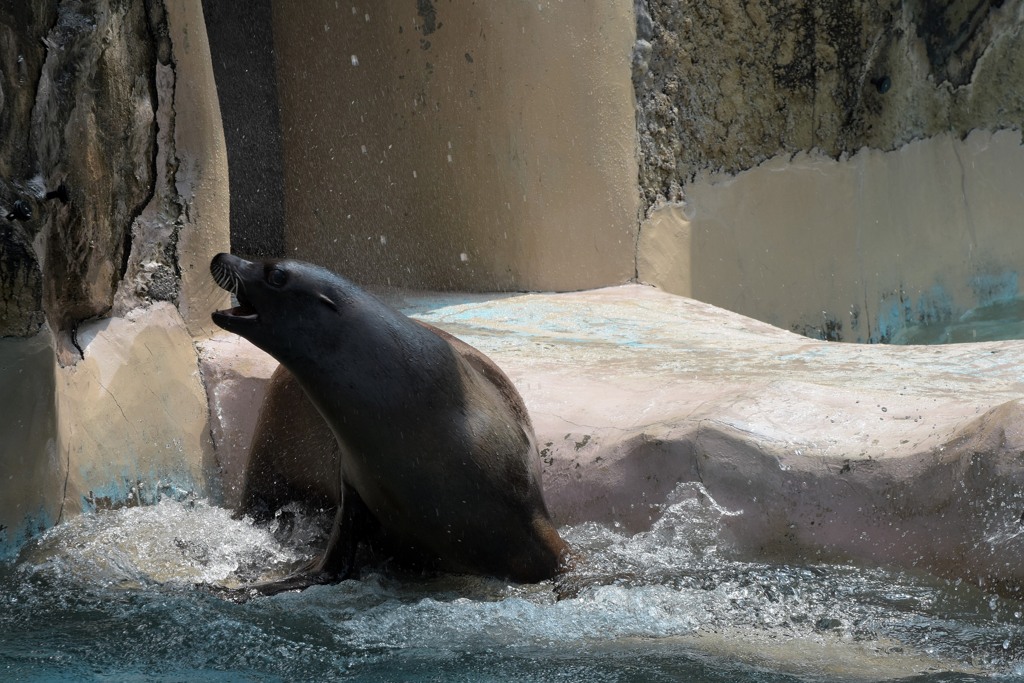 のいち動物公園