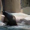 のいち動物公園