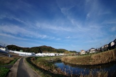 散歩中