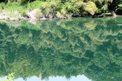 吉野川