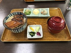 昼食　うな丼