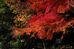 大日寺