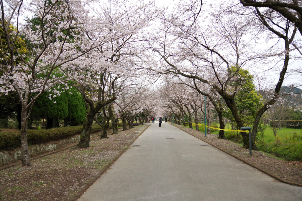 鏡野公園