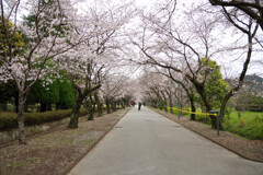 鏡野公園