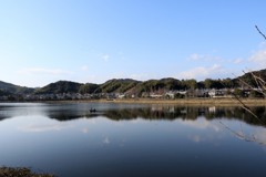 散歩中