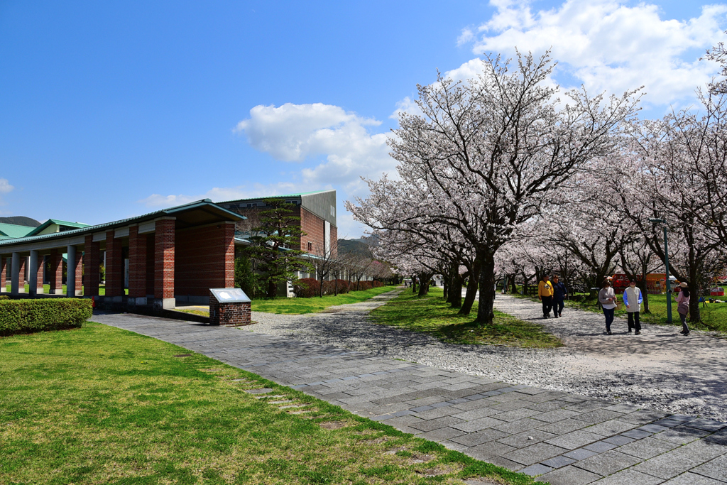 高知工科大学