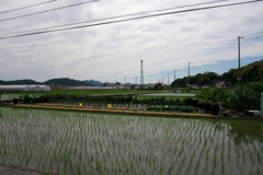散歩中の