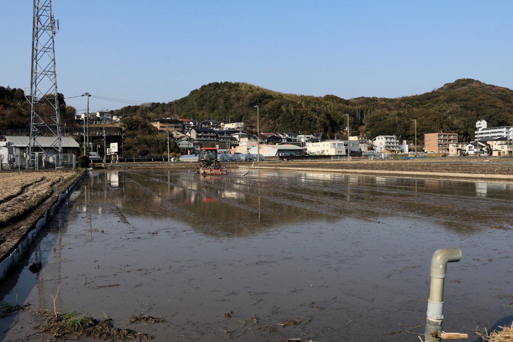 散歩中の　　田植えの準備