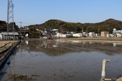 散歩中の　　田植えの準備