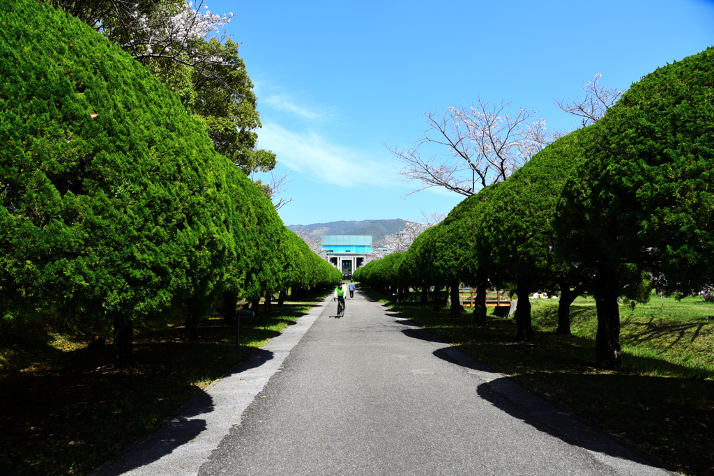 高知工科大学