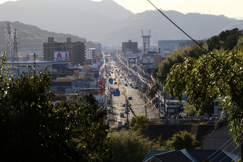 散歩中の　山道から
