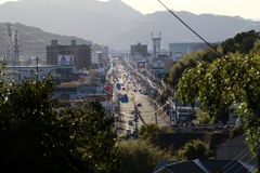 散歩中の　山道から