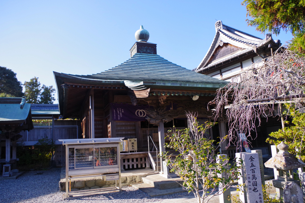 種間寺
