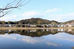 散歩中