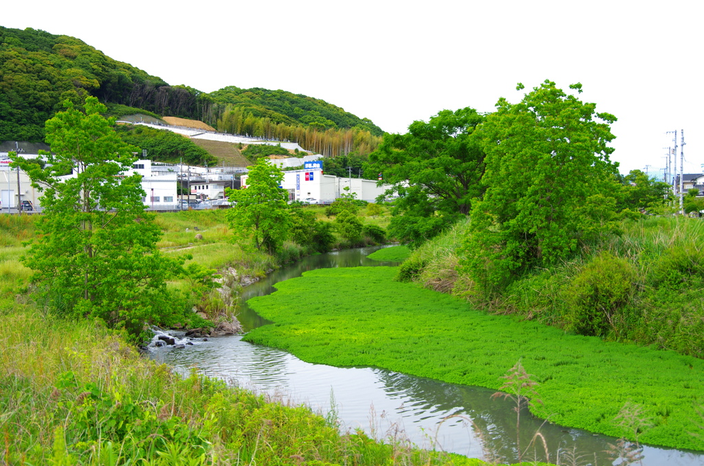 介良川親水公園