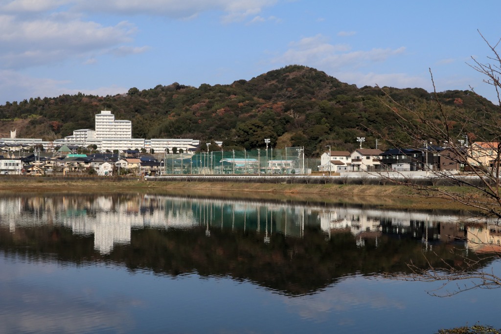 散歩中
