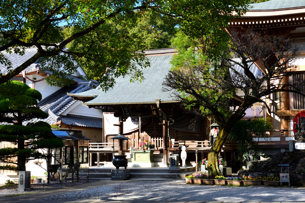 善楽寺