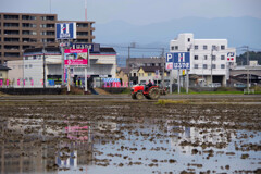 田植えの準備