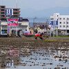 田植えの準備